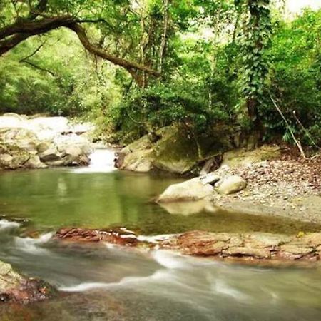 Cabana Con Piscina En Minca Villa Ngoại thất bức ảnh